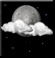 Monday Night: Partly Cloudy